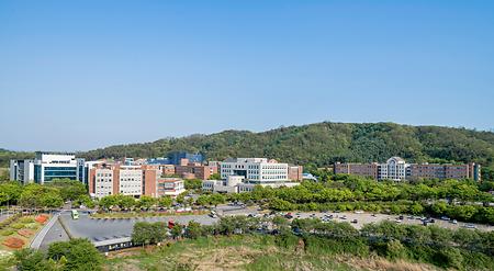 학교교정